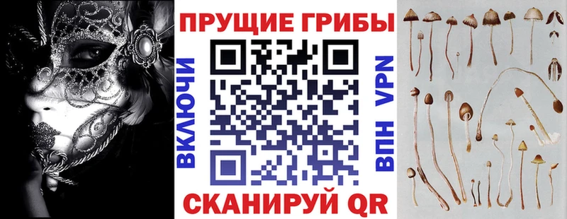 Галлюциногенные грибы Psilocybine cubensis  Борисоглебск 